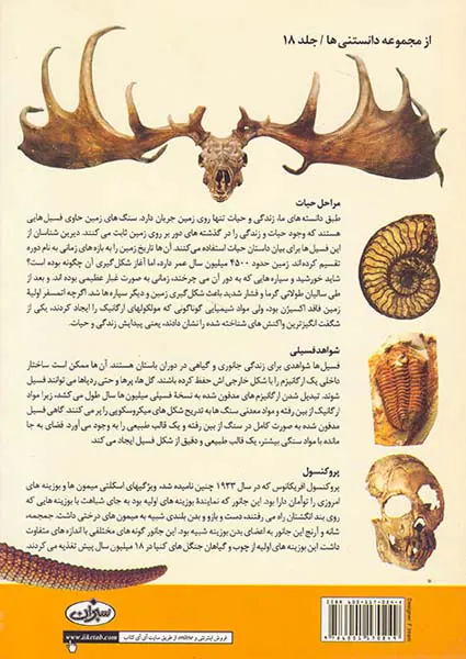 تاریخچه پیدایش حیات
